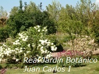 Jardines botánicos para niños