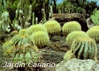 Jardines botánicos para niños