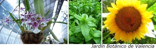 Jardines botánicos para niños