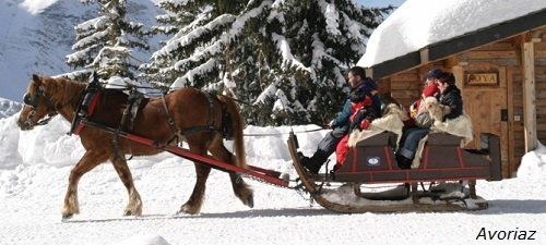 ¿A dónde nos vamos en Diciembre?