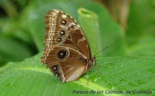 Descubre Granada con niños