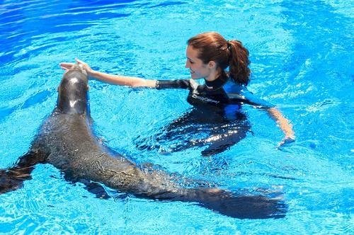 Parques temático Aqualandia 