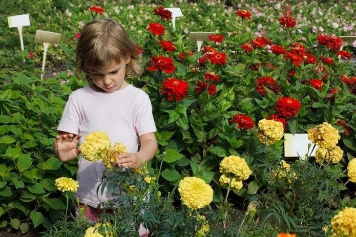 Jardines botánicos para niños